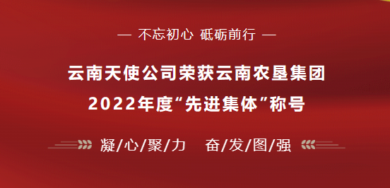 云南天使公司榮獲云南農墾集團2022年度“先進集體”稱號